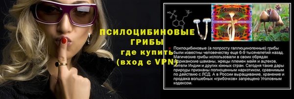 спиды Нефтекумск