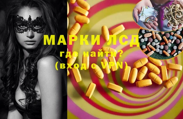спиды Нефтекумск