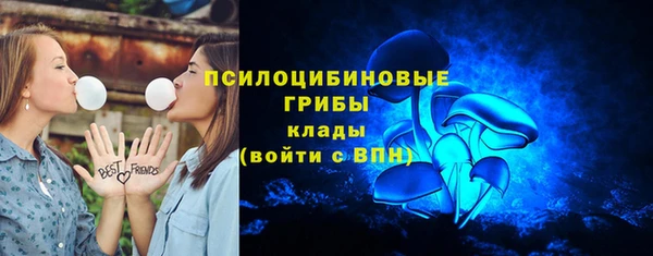 спиды Нефтекумск