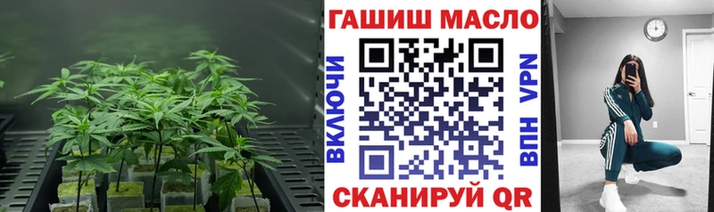 ТГК Wax  закладки  Сосенский 
