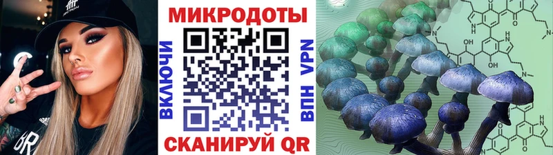 цены   Сосенский  Псилоцибиновые грибы ЛСД 